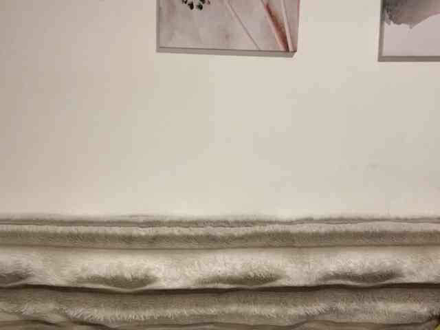 KittyKittyHey