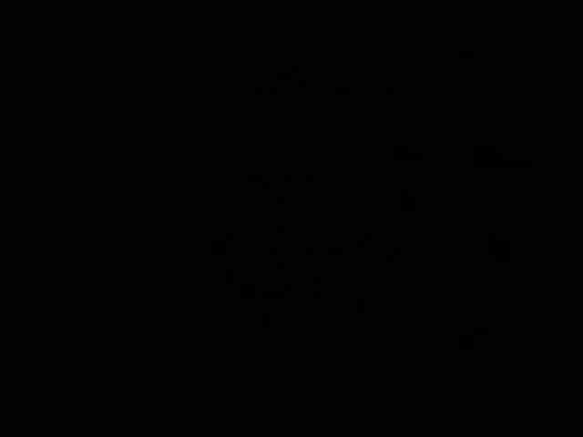 RS888