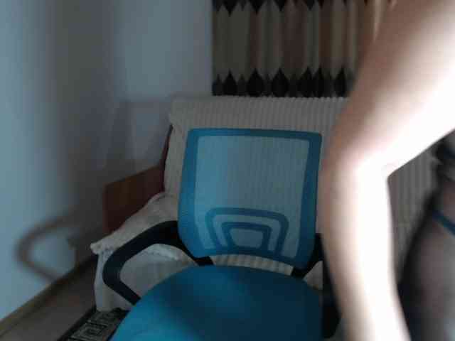 Mellek1 webcam