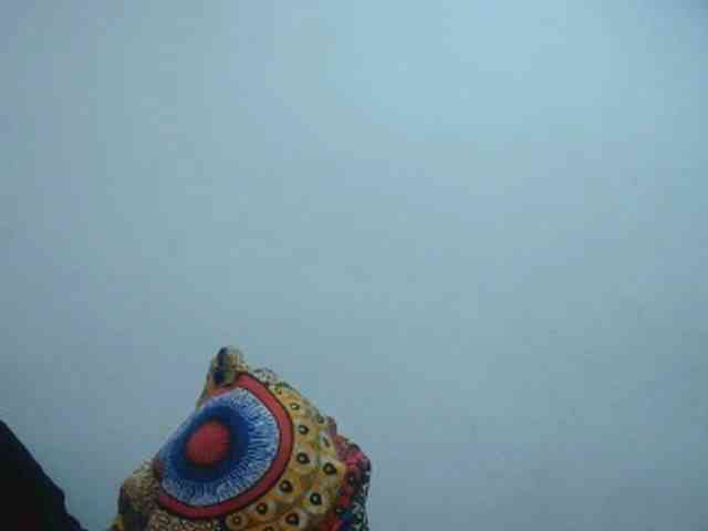 Tinah2 webcam