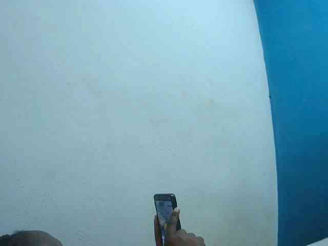 Tinah2 webcam