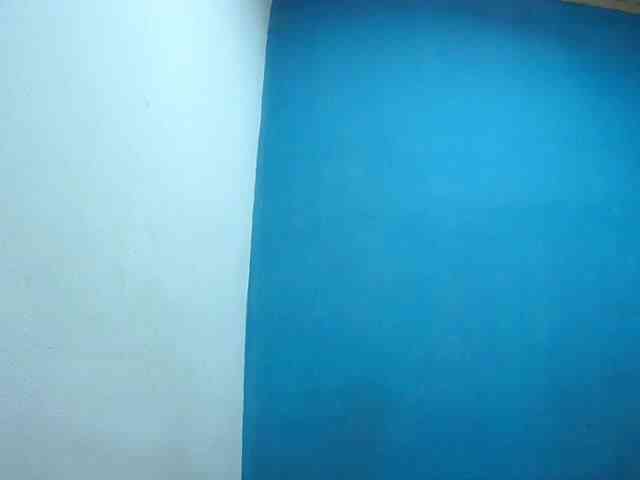 Tinah2 webcam