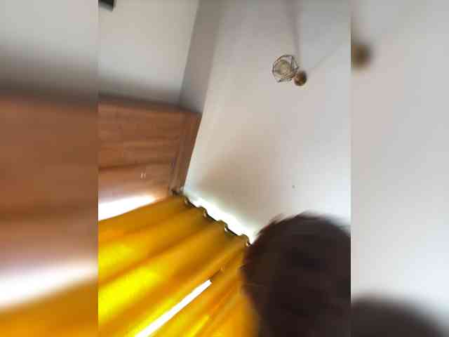 Maschandlesfemme