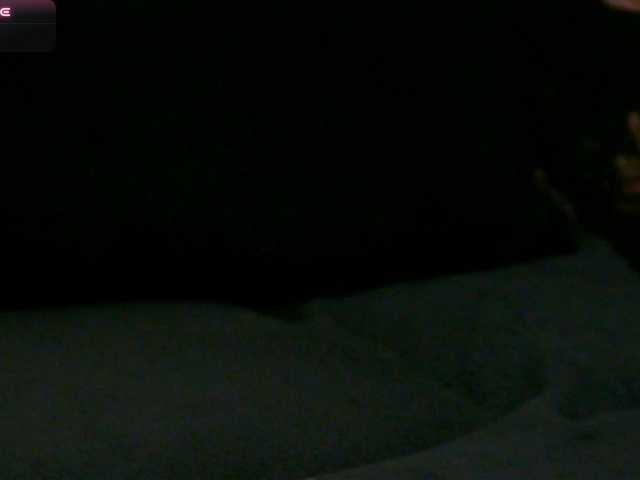 KimmyRea live cam on BongaCams