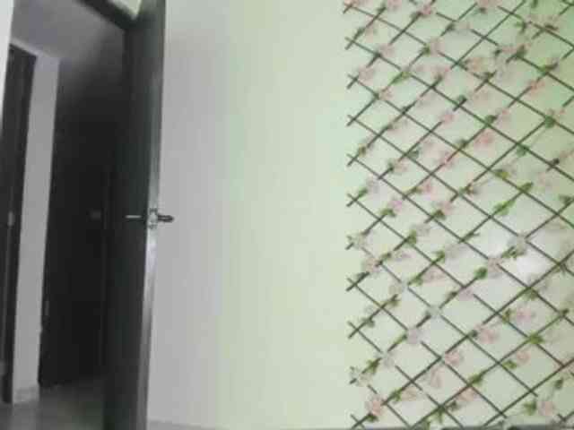 camilagil webcam