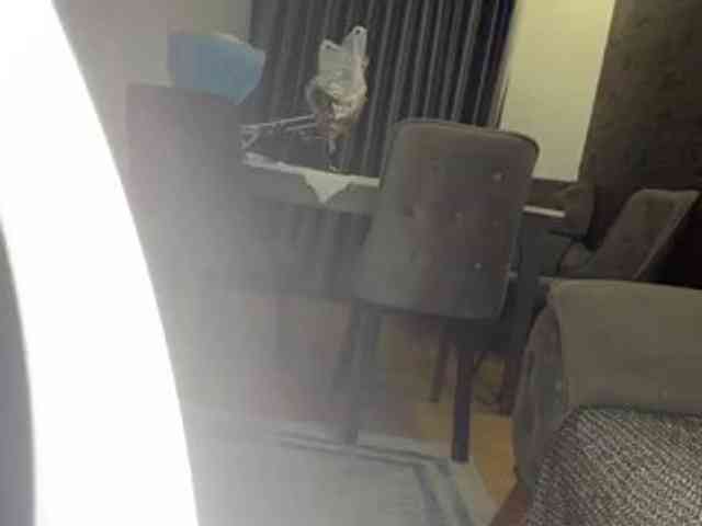 KhadijahStippich webcam