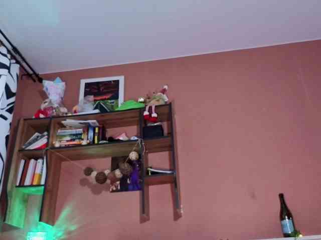 BunnyVice webcam