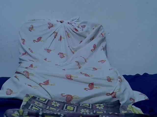 Daah webcam
