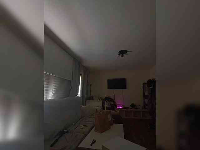 MadisonCoast webcam