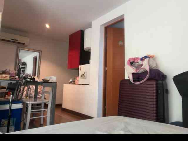 Piggy18