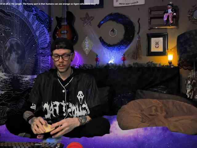 Webzandkordz