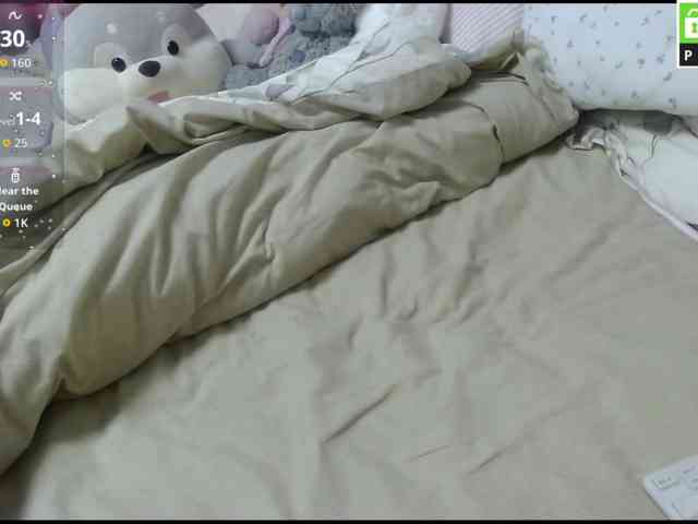 RichVelvet webcam