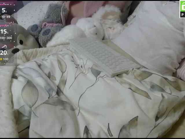 RichVelvet webcam