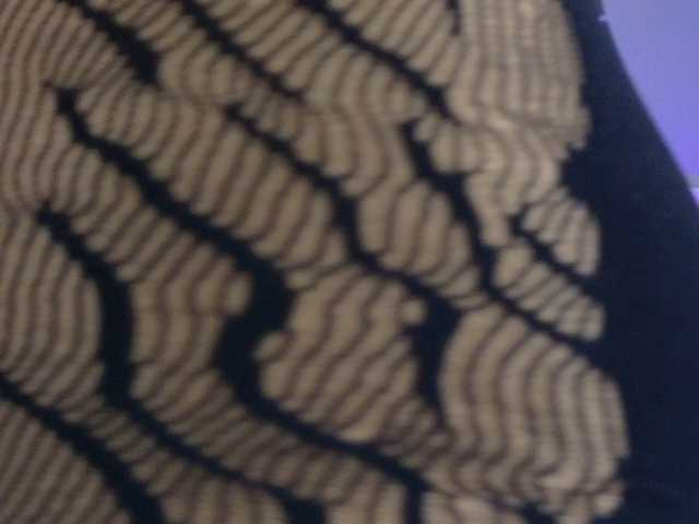 ScarlettRoot