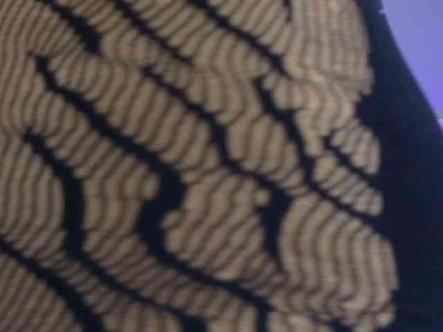 ScarlettRoot