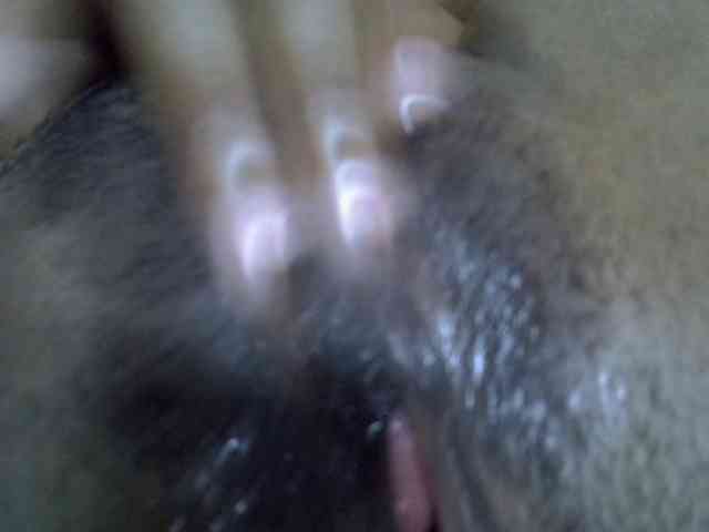 Modèle: NyHot