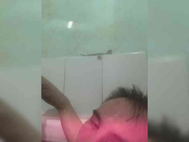 Dariuse