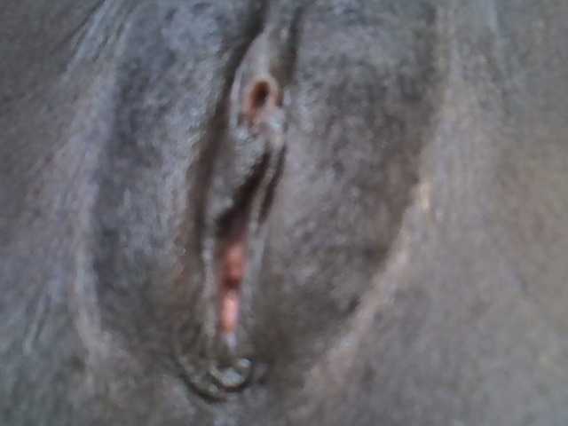 Sweetwn