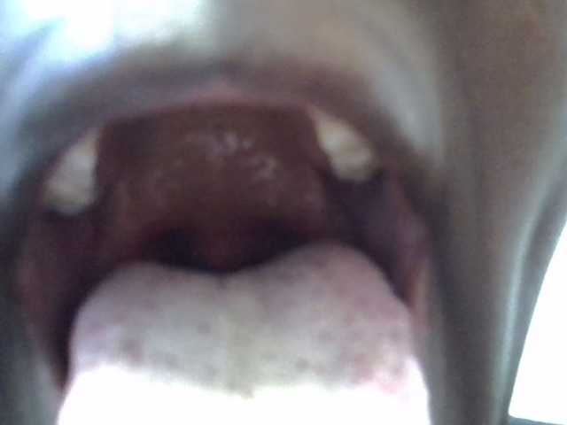 Sweetwn