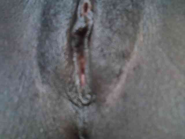 Sweetwn webcam