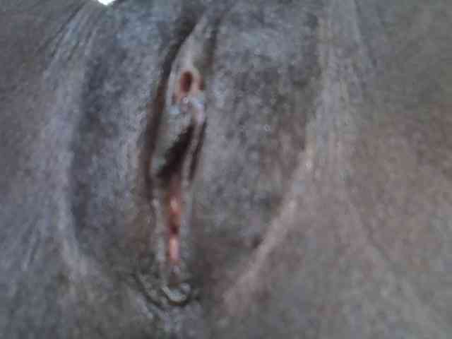 Sweetwn webcam