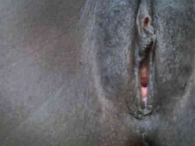 Sweetwn webcam