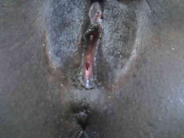 Sweetwn webcam
