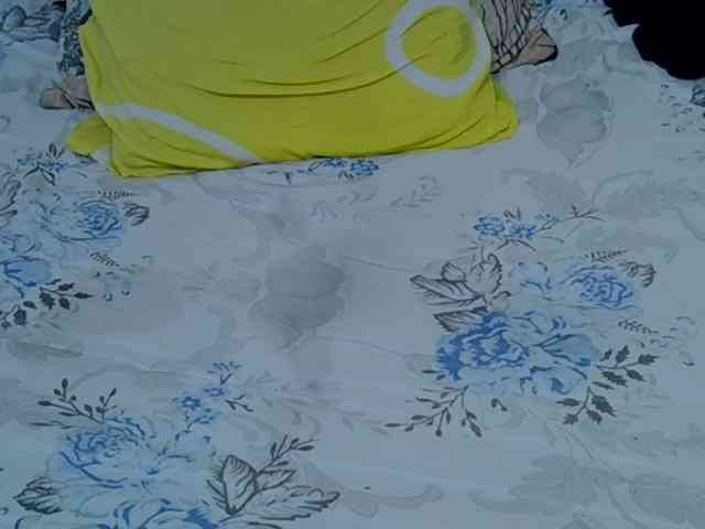 Sweetwn webcam