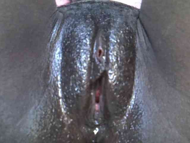 Sweetwn webcam