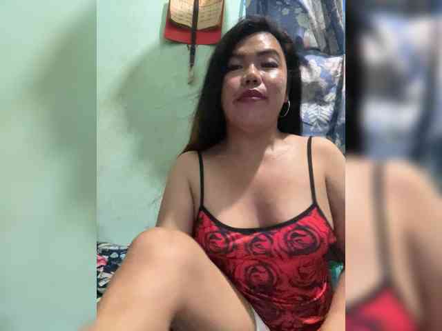 Model: Wild-TranSbigload