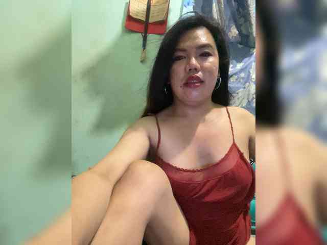 Wild-TranSbigload webcam