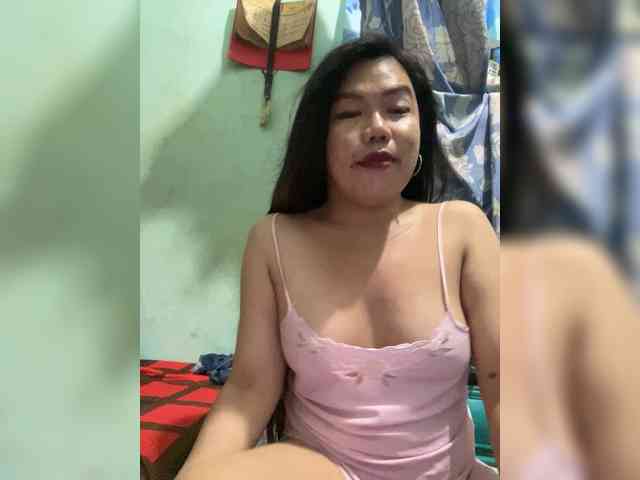 Wild-TranSbigload webcam