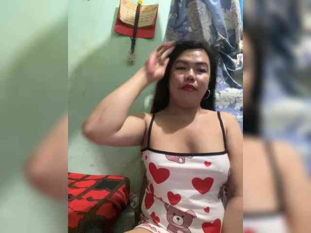 Wild-TranSbigload