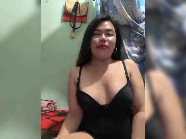 Model: Wild-TranSbigload