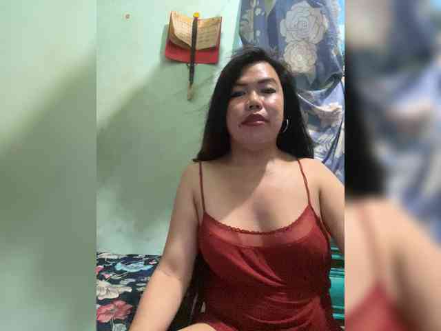 Wild-TranSbigload webcam