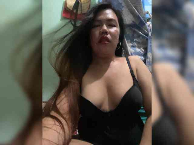 Model: Wild-TranSbigload