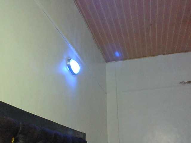 Minimochie live cam preview
