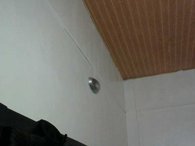 Minimochie live cam on BongaCams