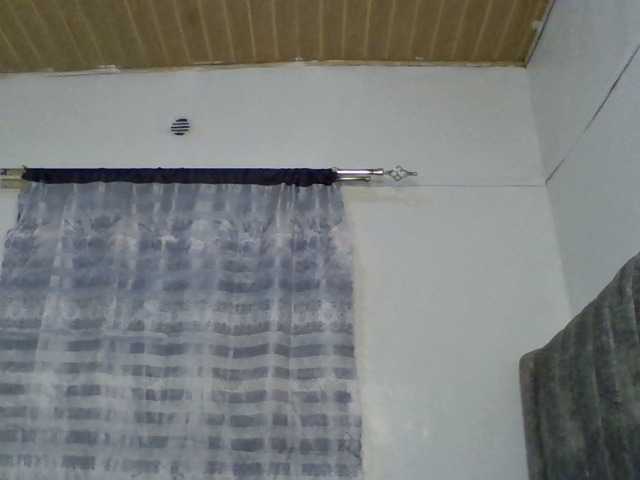 Minimochie live cam on BongaCams