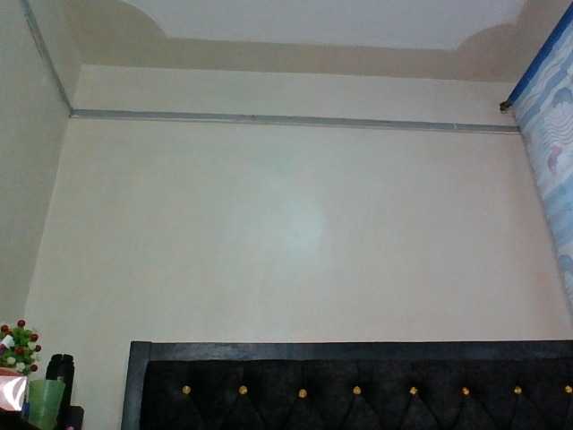 Minimochie live cam on BongaCams