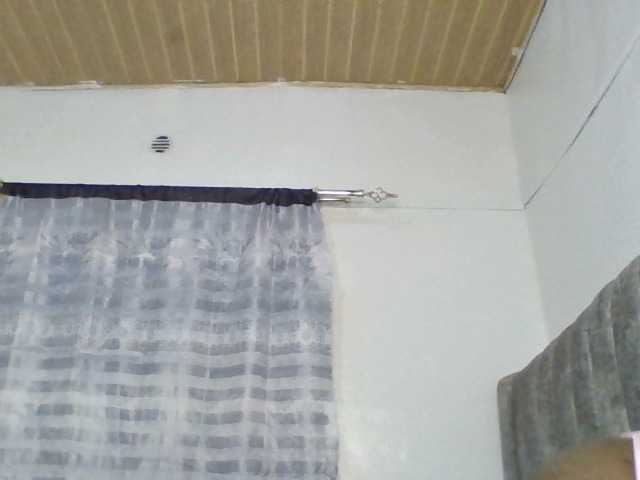 Minimochie live cam on BongaCams