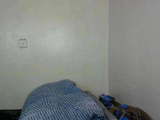 Minimochie live cam on BongaCams