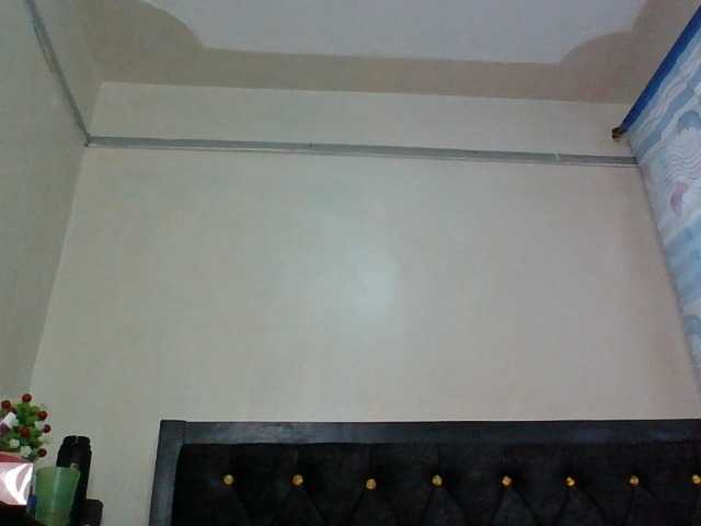 Minimochie live cam on BongaCams