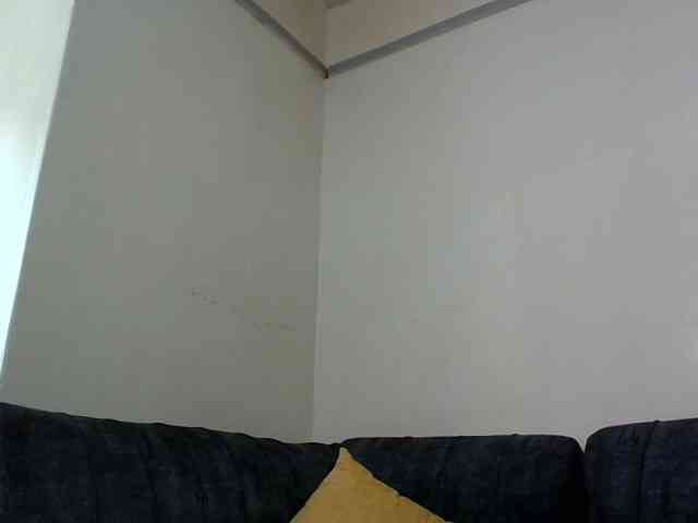 Minimochie webcam