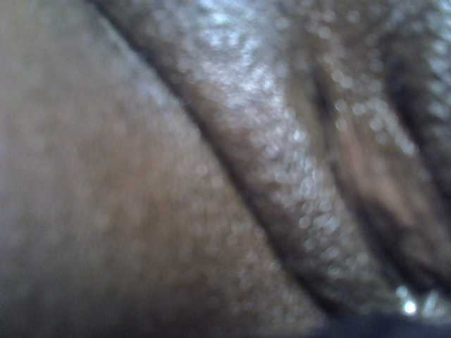 Petitedolliey