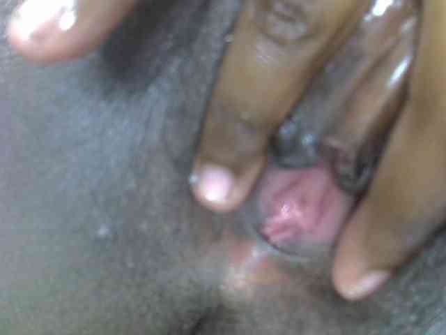 Petitedolliey