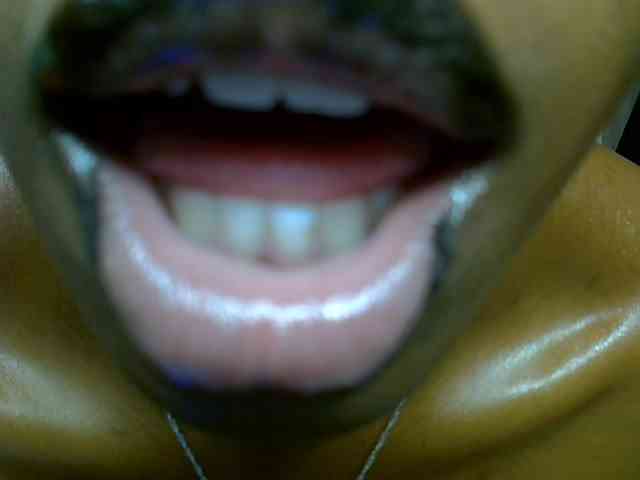 Petitedolliey webcam