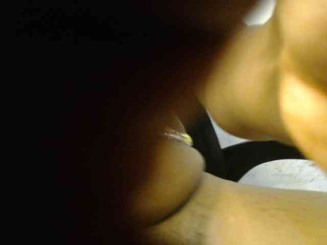 nastyapril webcam