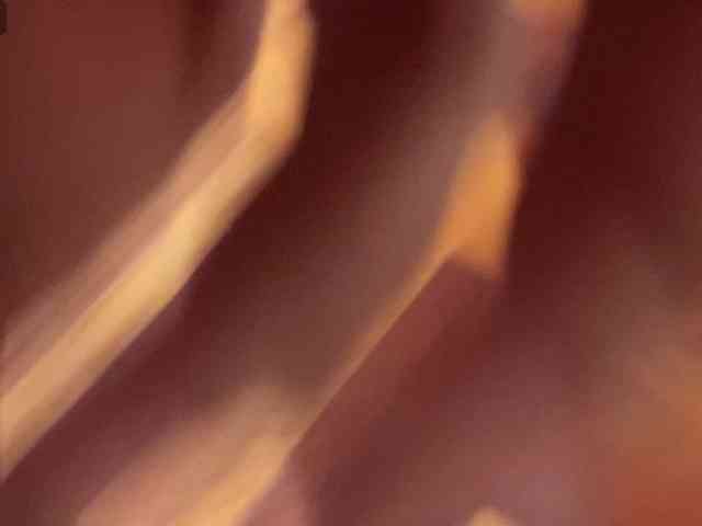 TO4KAGi webcam