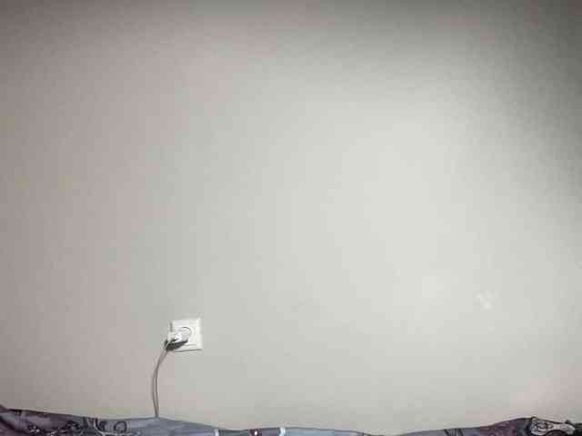 TO4KAGi webcam